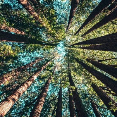 photo-1513836279014-a89f7a76ae86